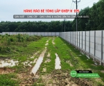 Hàng Rào Lắp Ghép Cao 2.44m
