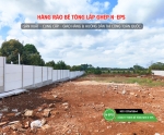 Tấm Bê Tông Nhẹ ST8