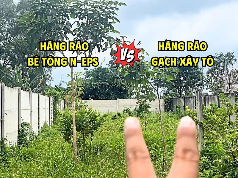 Bê tông nhẹ làm tường