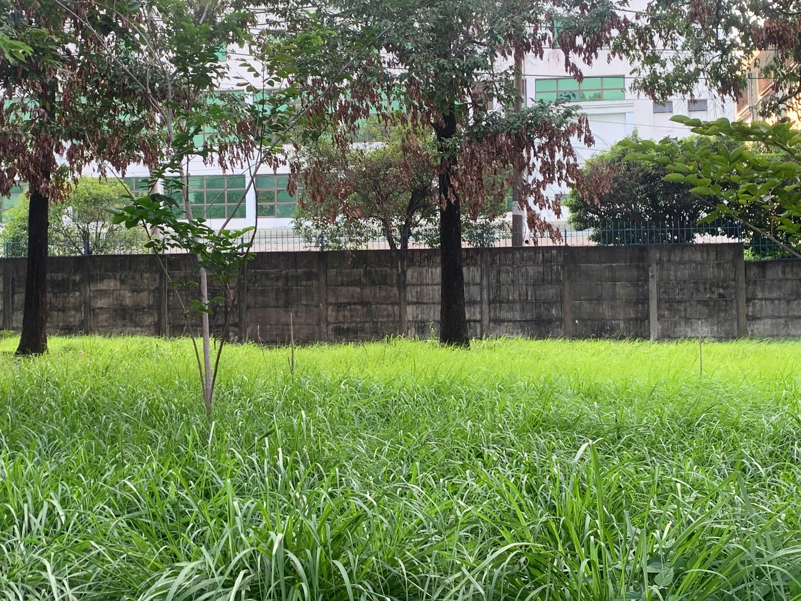 Thi công hàng rào bê tông lắp ghép N-EPS